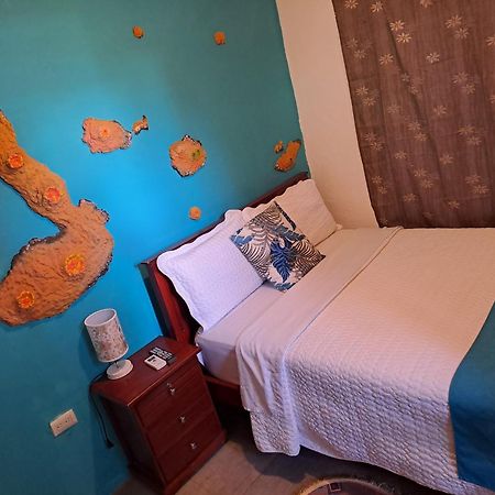 Suite Galarous Island Puerto Ayora  Eksteriør billede