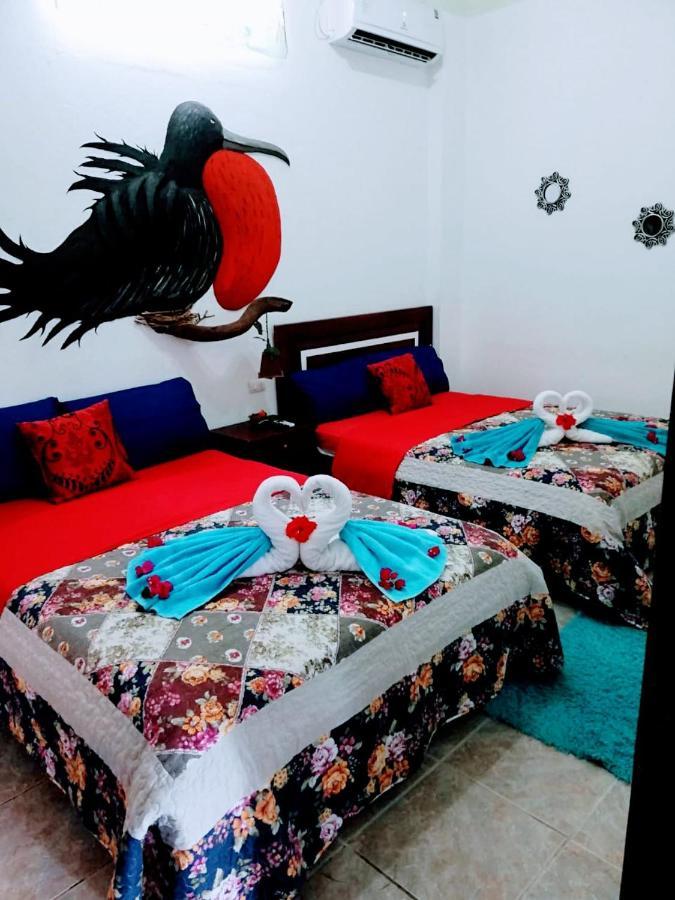 Suite Galarous Island Puerto Ayora  Eksteriør billede